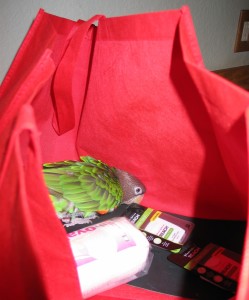 OW in red bag