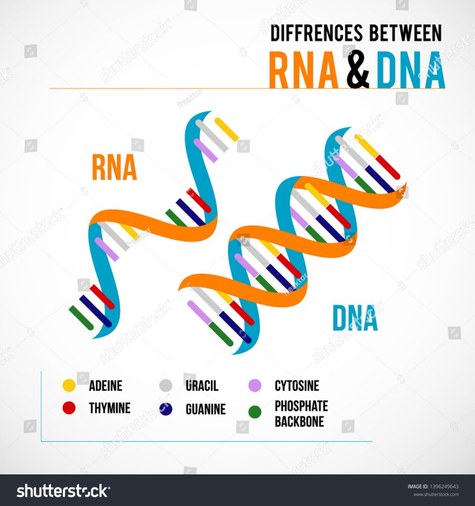 Before COVID Cartel, Scientific Skepticism Of Messenger-RNA Technology ...